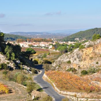 Vignoble de La clape - Hotel du Mas***