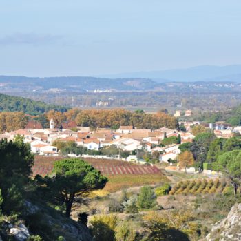 Vignoble de La clape - Hotel du Mas***