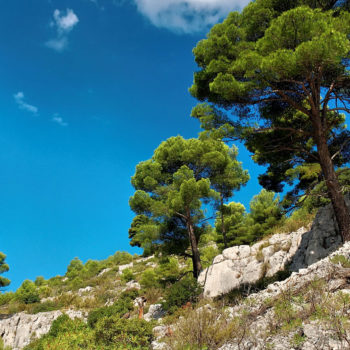 La Garrigue et la Clape - Hôtel du Mas***