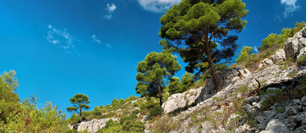 La Garrigue et la Clape - Hôtel du Mas***