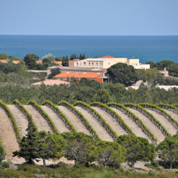 Vignoble de La clape - Hotel du Mas***