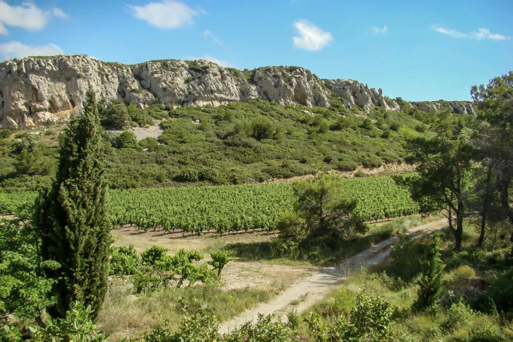 Massif de la Clape au départ de l'hôtel du Mas